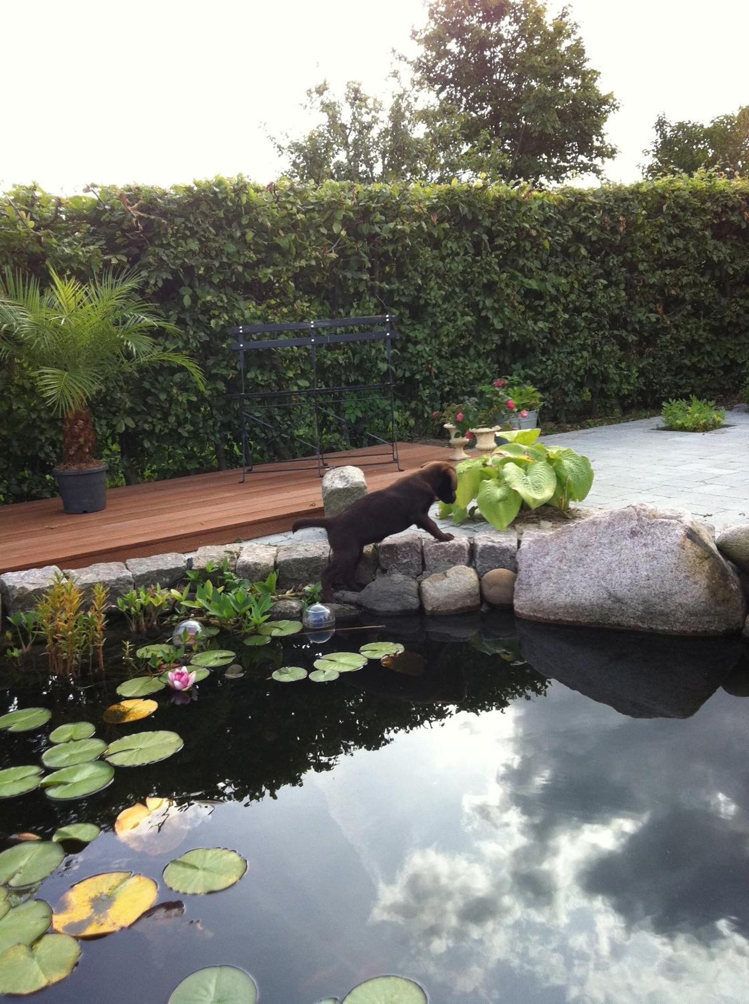 Bed & Breakfast Horsens - Udsigten Buitenkant foto